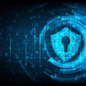 Vulnerability Assessment & Testing